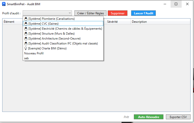 Audit BIM